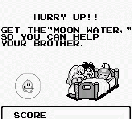 Bubble Bobble Screenshot 10 (Game Boy)