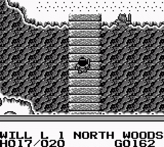 Knight Quest Screenshot 5 (Game Boy)