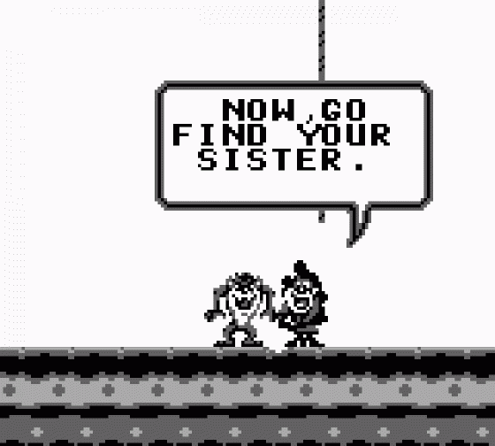 Taz-Mania 2 Screenshot 13 (Game Boy)