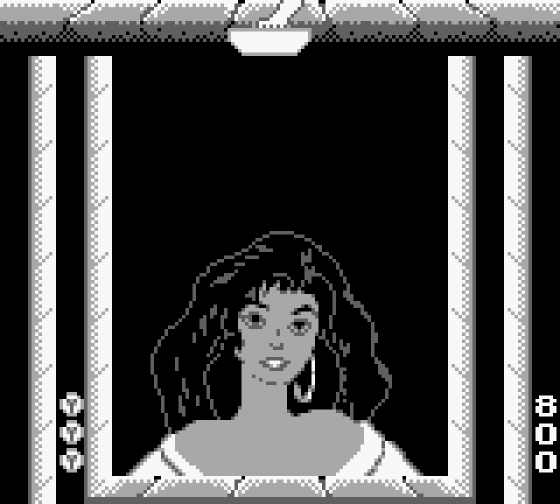 The Hunchback Of Notre Dame Screenshot 6 (Game Boy)