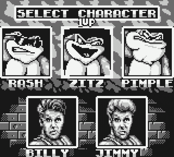 Battletoads Double Dragon