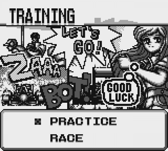 F1 Pole Position Screenshot 19 (Game Boy)