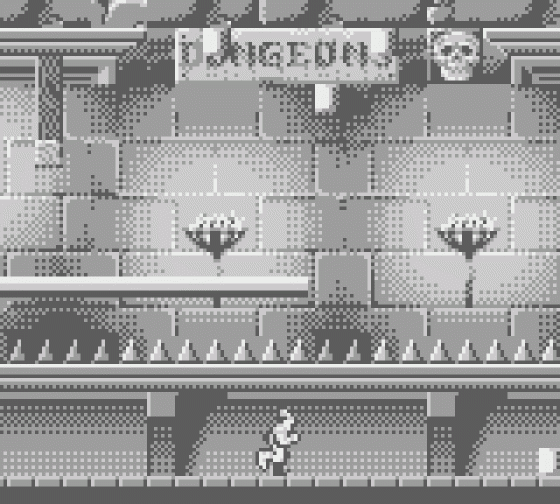 Dragon's Lair: The Legend Screenshot 8 (Game Boy)