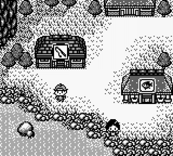 Legend Of The River King Screenshot 5 (Game Boy)