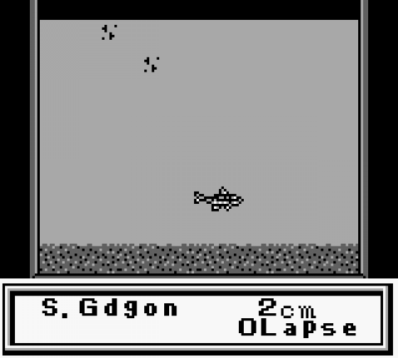 Legend Of The River King Screenshot 10 (Game Boy)