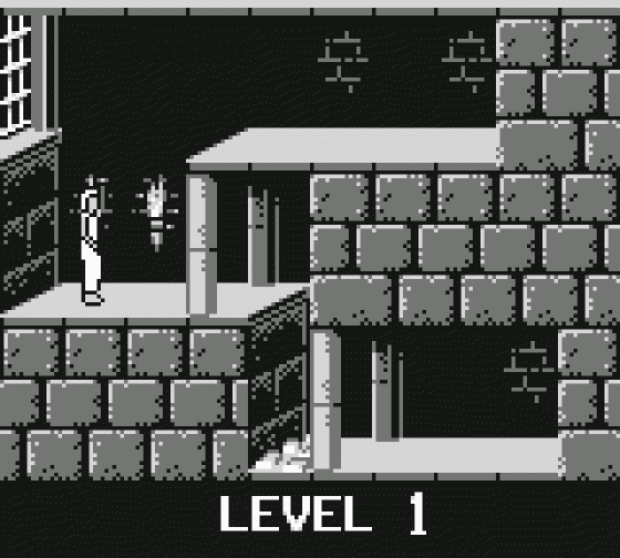 Prince Of Persia Screenshot 6 (Game Boy)