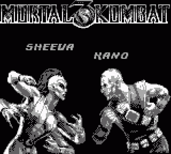 Mortal Kombat 3 Screenshot 6 (Game Boy)