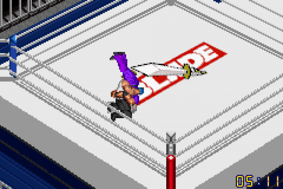 Fire Pro Wrestling 2 Screenshot 10 (Game Boy Advance)