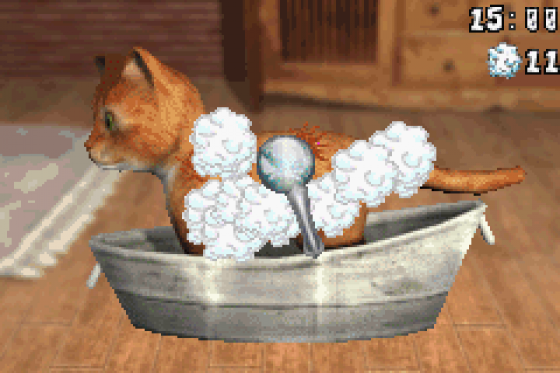 Best Friends: Hunde Und Katzen Screenshot 5 (Game Boy Advance)