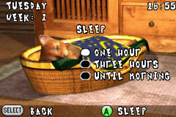 Best Friends: Hunde Und Katzen Screenshot 9 (Game Boy Advance)