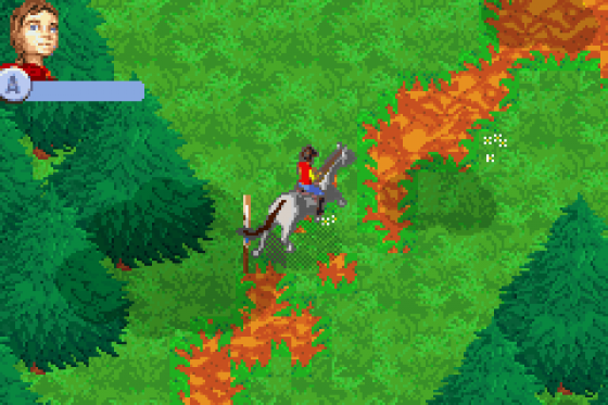 Pferd & Pony: Lass uns reiten 2 Screenshot 17 (Game Boy Advance)