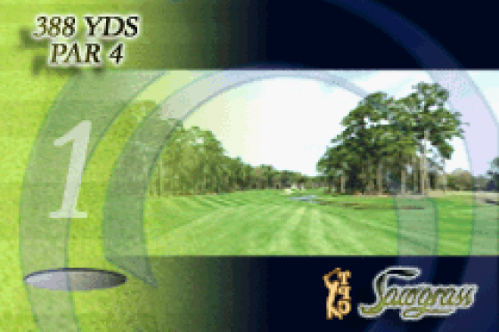 Tiger Woods PGA Tour Golf Screenshot 11 (Game Boy Advance)