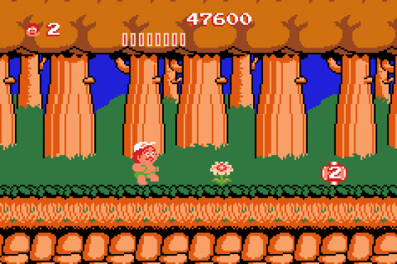 Adventure Island Screenshot 20 (Game Boy Advance)