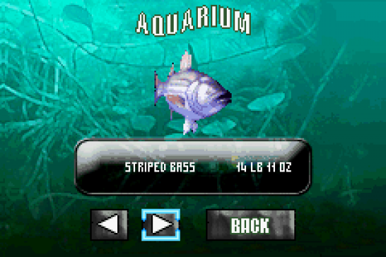 Monster! Bass Fishing Screenshot 18 (Game Boy Advance)