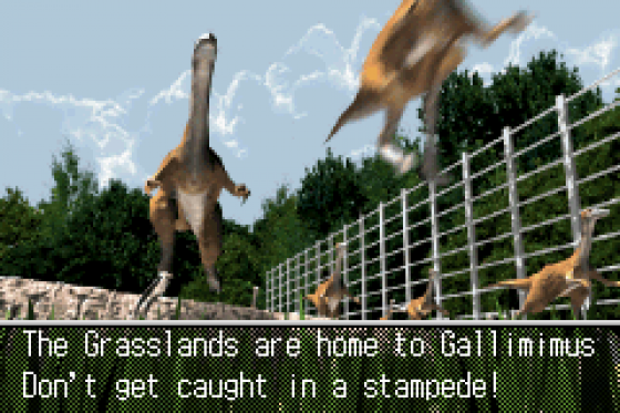 Jurassic Park III: The DNA Factor Screenshot 6 (Game Boy Advance)