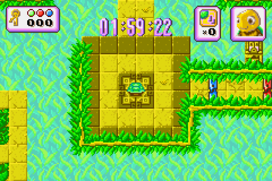 Turbo Turtle Adventure Screenshot 6 (Game Boy Advance)