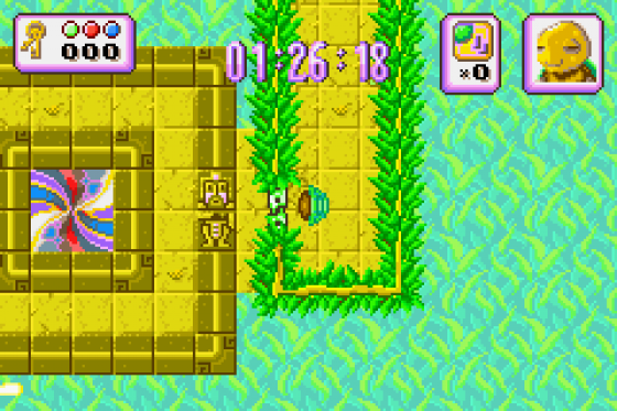 Turbo Turtle Adventure Screenshot 7 (Game Boy Advance)