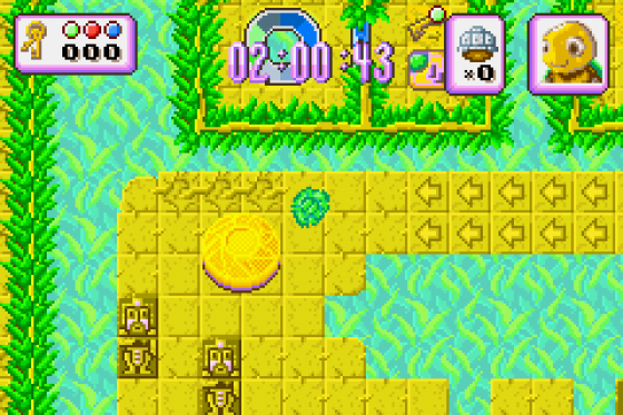 Turbo Turtle Adventure Screenshot 9 (Game Boy Advance)