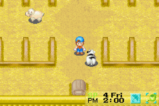 Harvest Moon: Friends Of Mineral Town Screenshot 9 (Game Boy Advance)