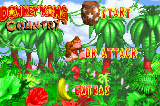 Donkey Kong Country