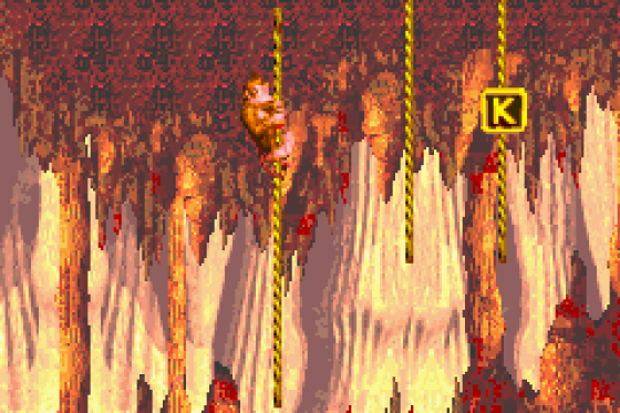 Donkey Kong Country Screenshot 23 (Game Boy Advance)