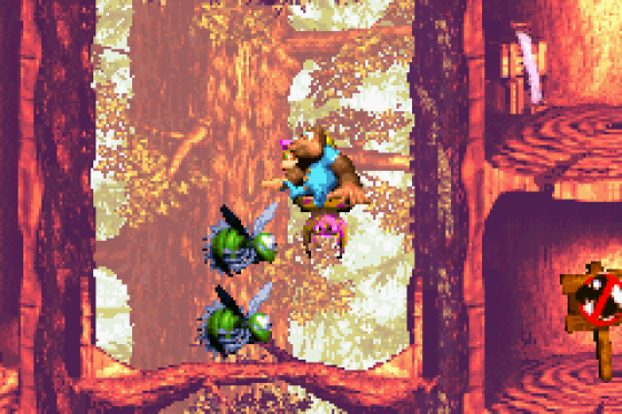 Donkey Kong Country 3: Dixie Kong's Double Trouble Screenshot 11 (Game Boy Advance)