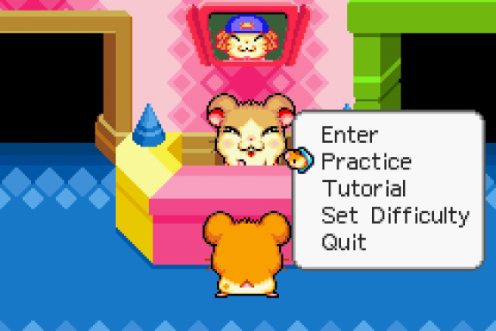 Hamtaro: Ham-Ham Games Screenshot 6 (Game Boy Advance)