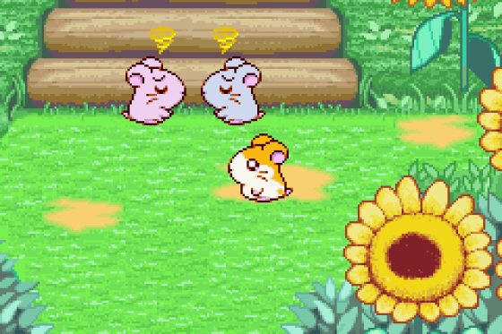 Hamtaro: Ham-Ham Heartbreak Screenshot 7 (Game Boy Advance)