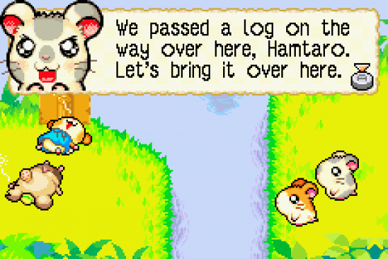 Hamtaro: Rainbow Rescue Screenshot 5 (Game Boy Advance)