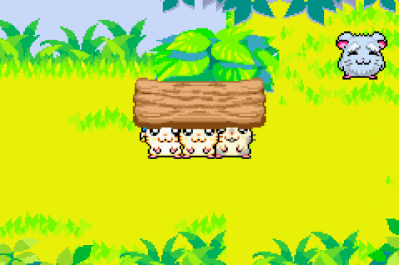 Hamtaro: Rainbow Rescue Screenshot 8 (Game Boy Advance)