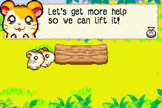 Hamtaro: Rainbow Rescue Screenshot 9 (Game Boy Advance)