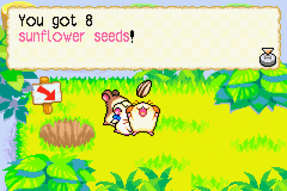 Hamtaro: Rainbow Rescue Screenshot 17 (Game Boy Advance)