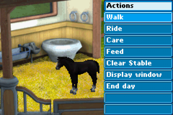 Pferd & Pony Best Friends: Mein Pferd Screenshot 7 (Game Boy Advance)