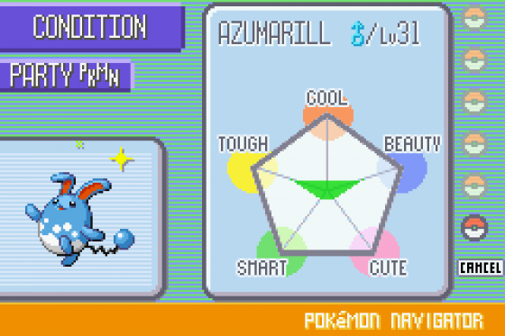 Pokémon Ruby Version Screenshot 6 (Game Boy Advance)