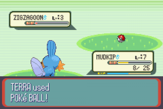 Pokémon Ruby Version Screenshot 25 (Game Boy Advance)