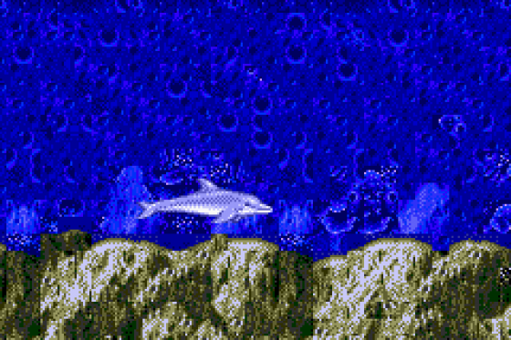 Ecco The Dolphin