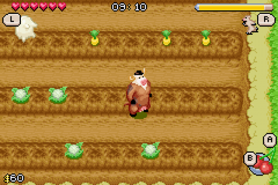 Barnyard Screenshot 11 (Game Boy Advance)