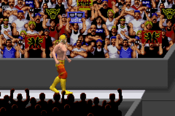 WWE Road to Wrestlemania X8 Screenshot 13 (Game Boy Advance)