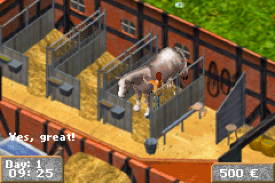 Horsez Screenshot 6 (Game Boy Advance)