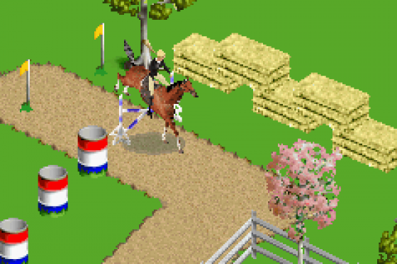 Barbie Horse Adventures: Blue Ribbon Race Screenshot 6 (Game Boy Advance)