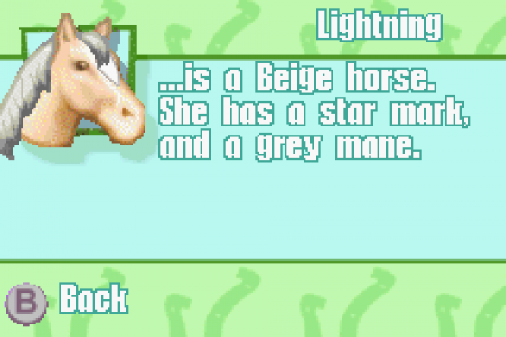 Barbie Horse Adventures: Blue Ribbon Race Screenshot 30 (Game Boy Advance)