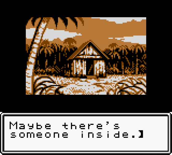 Stranded Kids Screenshot 7 (Game Boy Color)