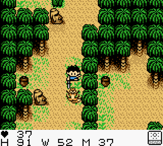 Stranded Kids Screenshot 20 (Game Boy Color)