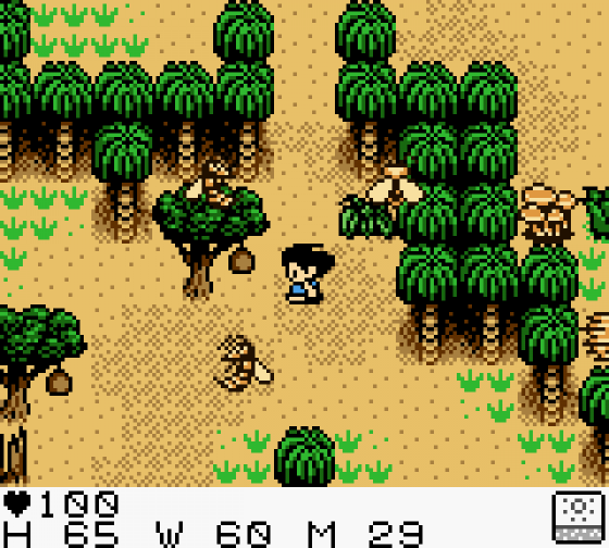 Stranded Kids Screenshot 24 (Game Boy Color)