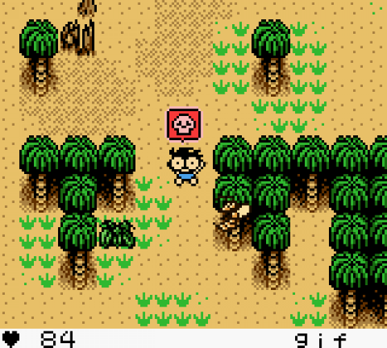 Stranded Kids Screenshot 26 (Game Boy Color)