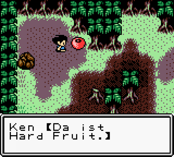 Stranded Kids Screenshot 28 (Game Boy Color)