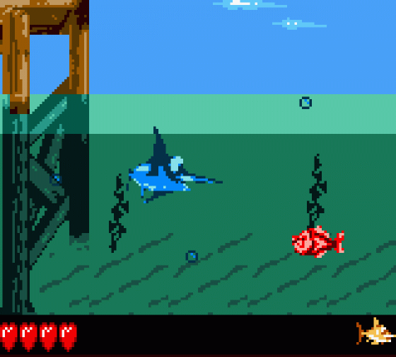 Donkey Kong Land III Screenshot 6 (Game Boy Color)