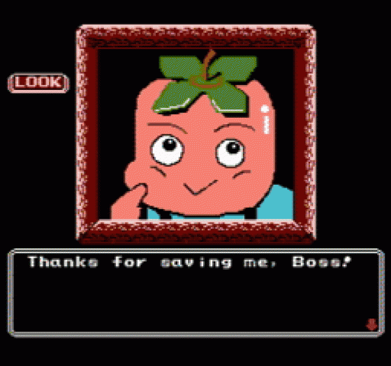 Princess Tomato In The Salad Kingdom Screenshot 50 (Nintendo (US Version))