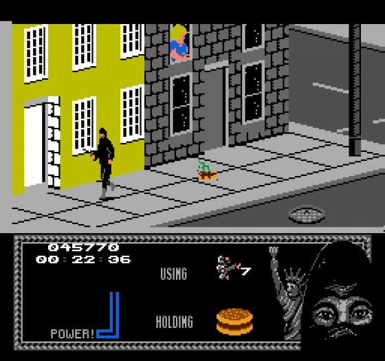 The Last Ninja Screenshot 11 (Nintendo (US Version))