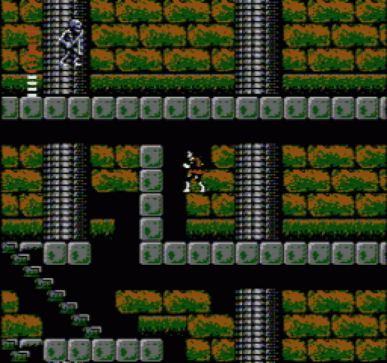 Castlevania II: Simon's Quest Screenshot 77 (Nintendo (US Version))